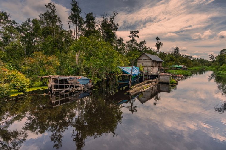 126 Tanjung Puting NP.jpg